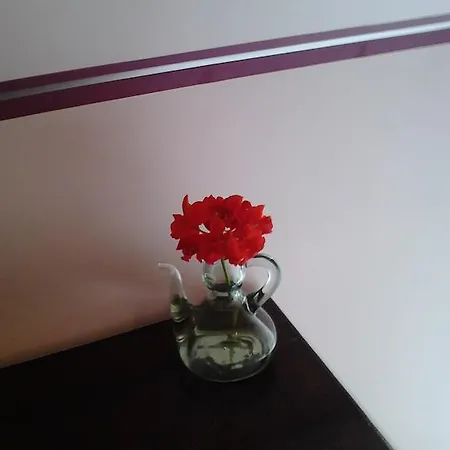 Chez Virginie Dijon