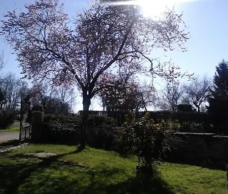 Guest house Chez Virginie 3*
